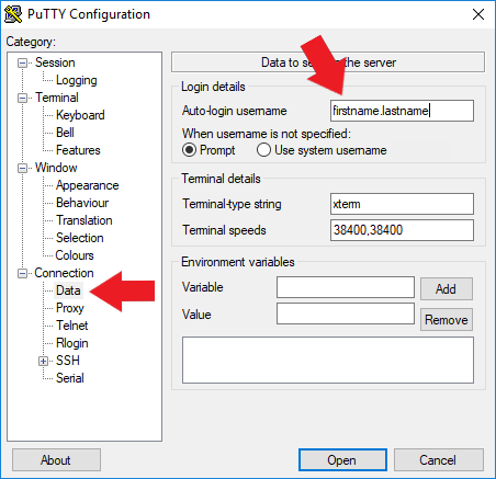 mobaxterm x11 proxy: authorisation not recognised